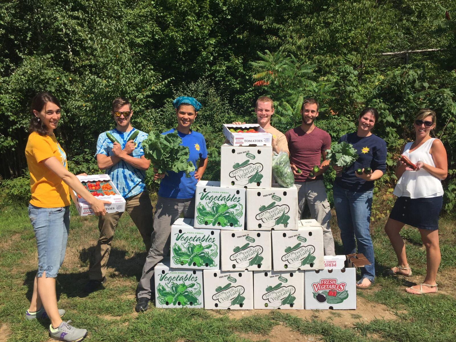 Stout Oak Farm adds solar panels, now harvests sunshine as well