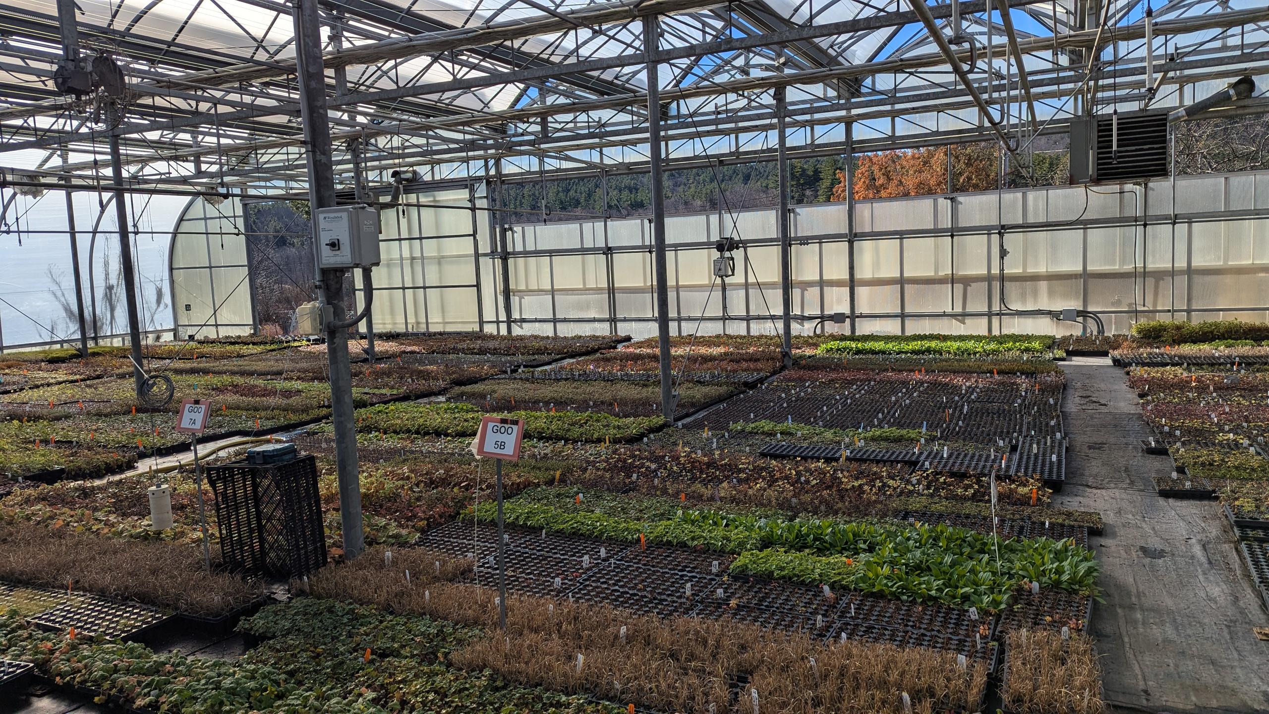van berkum nursery.jpg