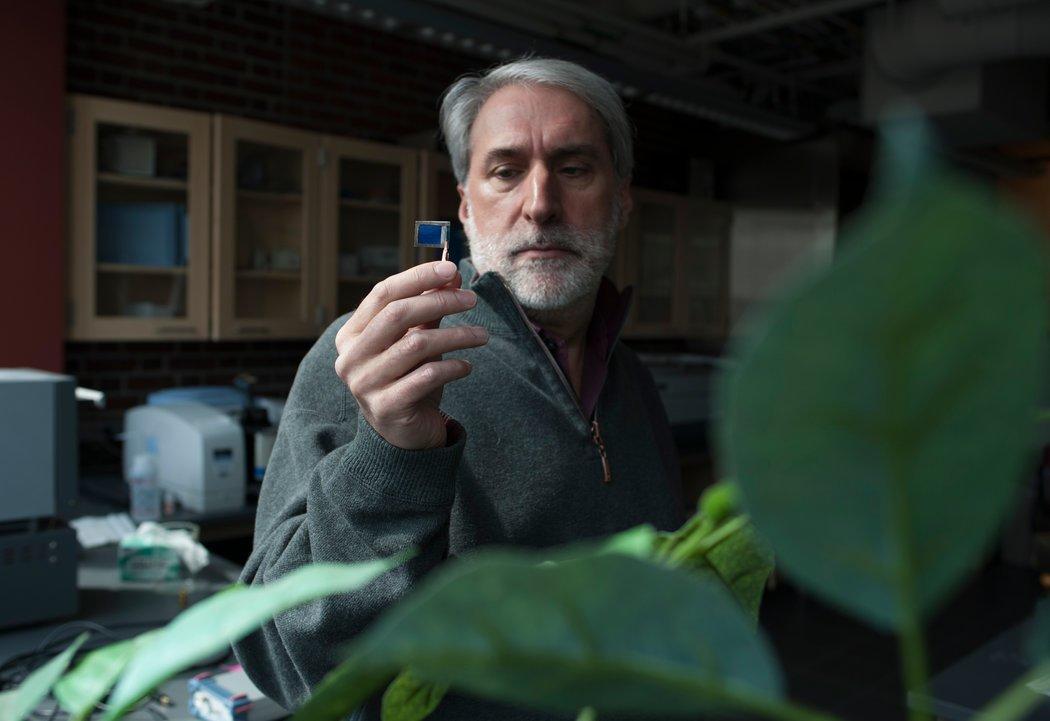 Rational Cause for Optimism: The Bionic Leaf