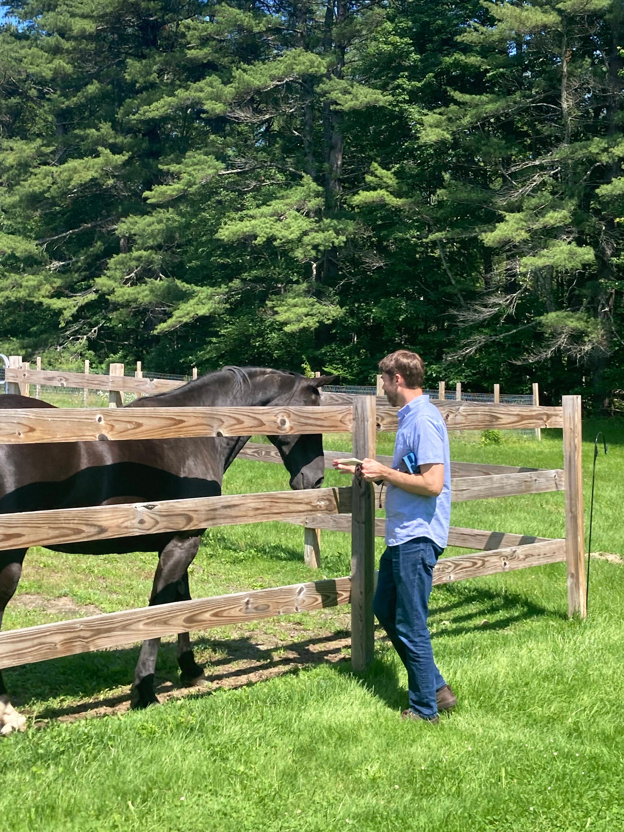 Calen meets a horse