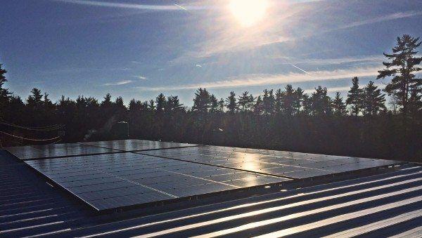 Longleaf Lumber Goes Solar - Reclaimed Lumber Company ME