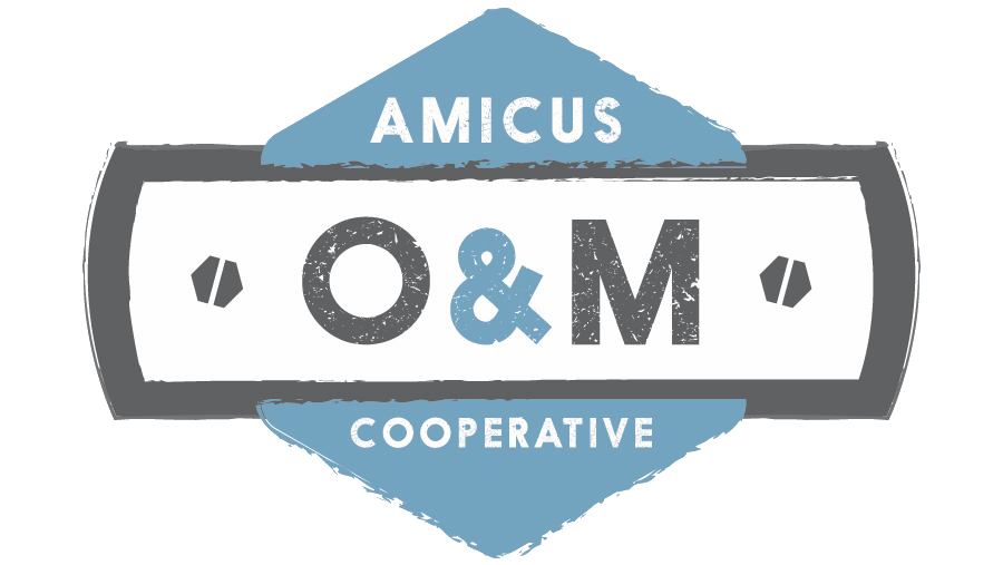 amicus O&M solar.png