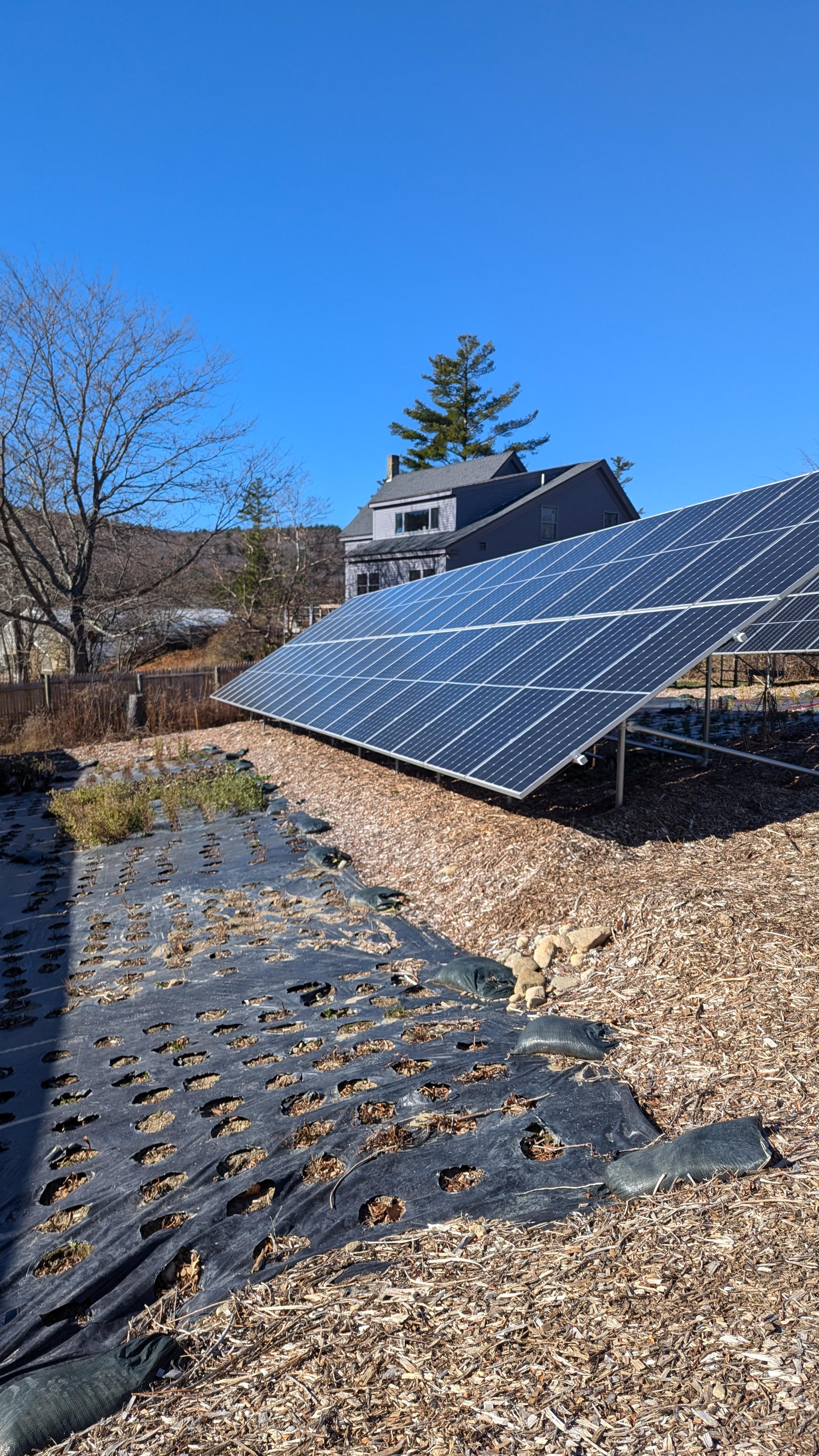 ground mount solar seedlings van berkum.jpg