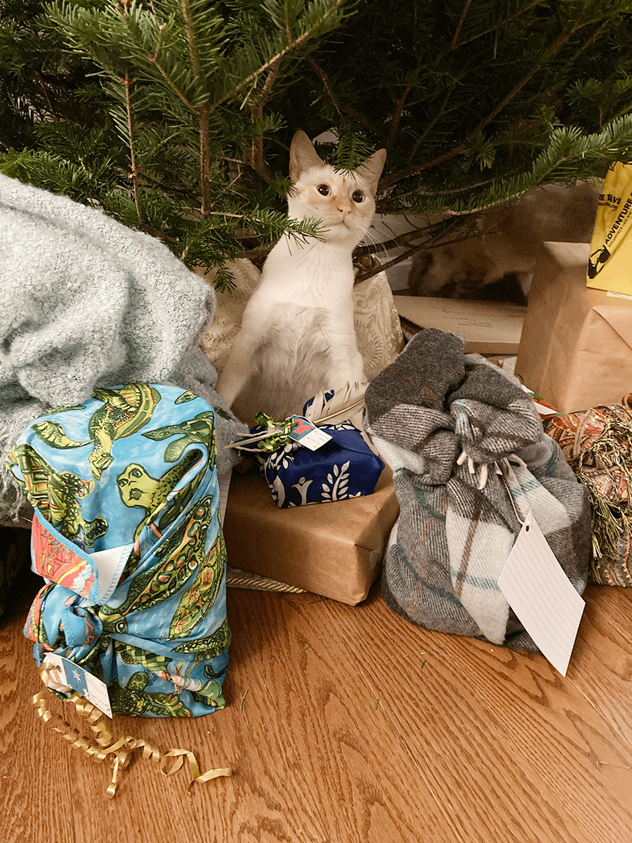 cat and christmas tree.png