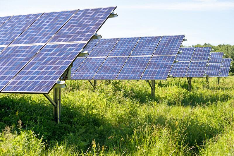 Solar Farm For The Future