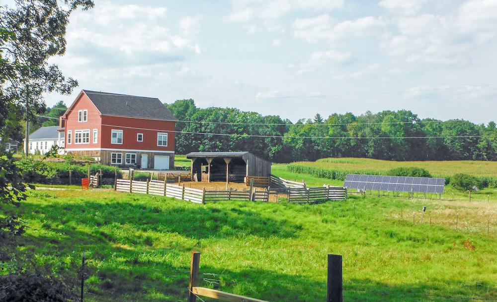Solar and Farmland Can Thrive Together