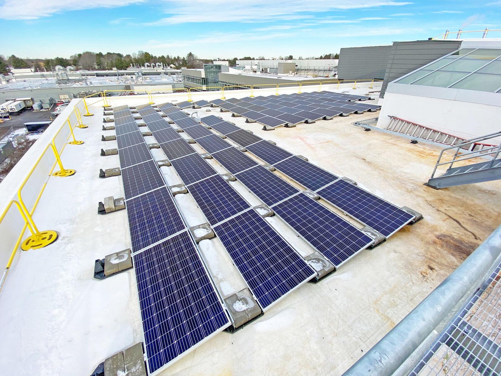 IDEXX Solar Synergy Center