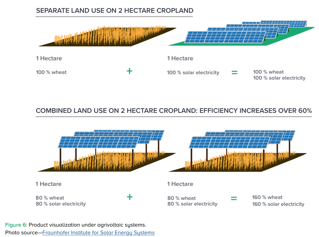 Phil Column Agrivoltaics