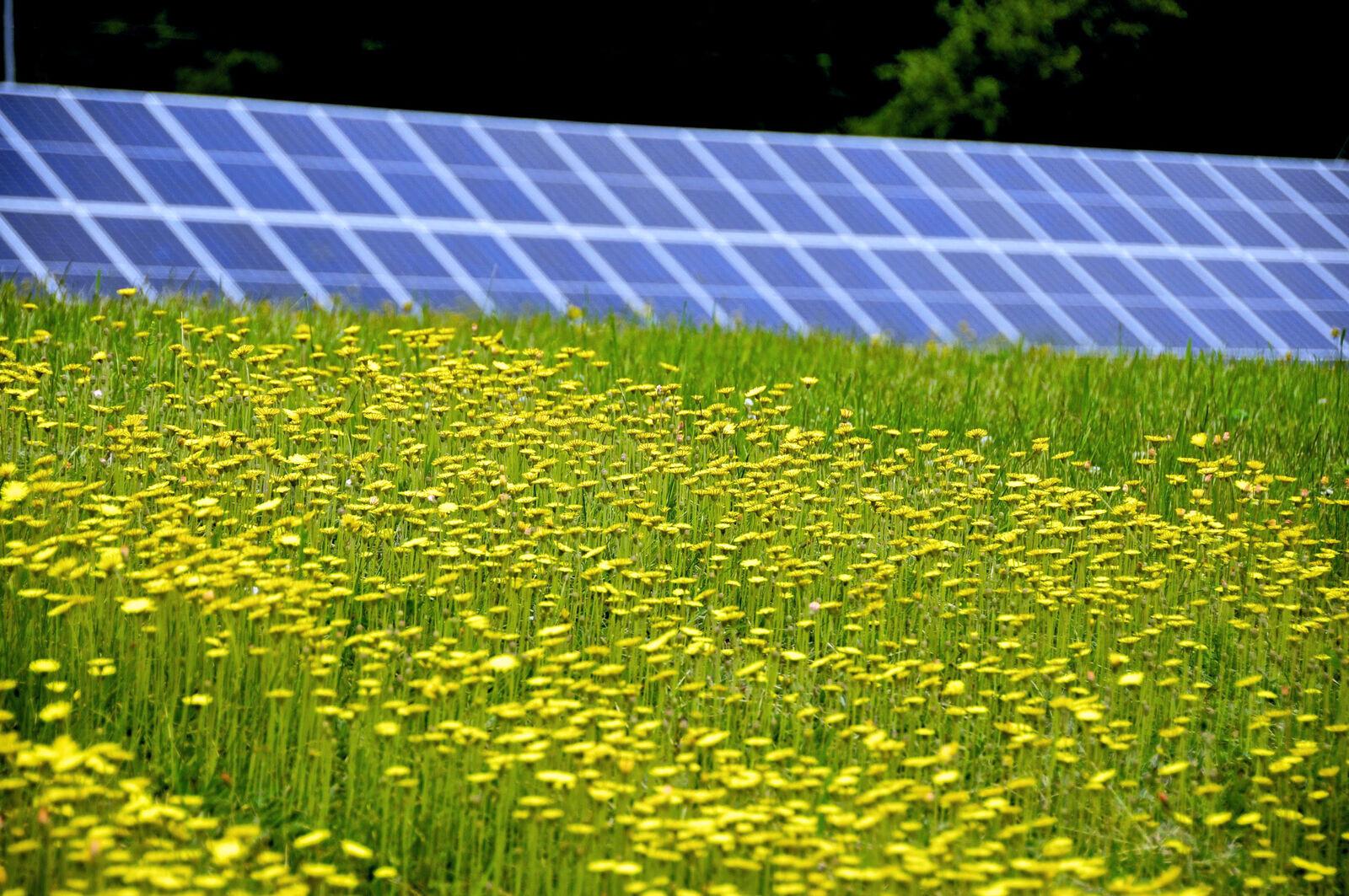 Ground Mounted Solar Array For A Business