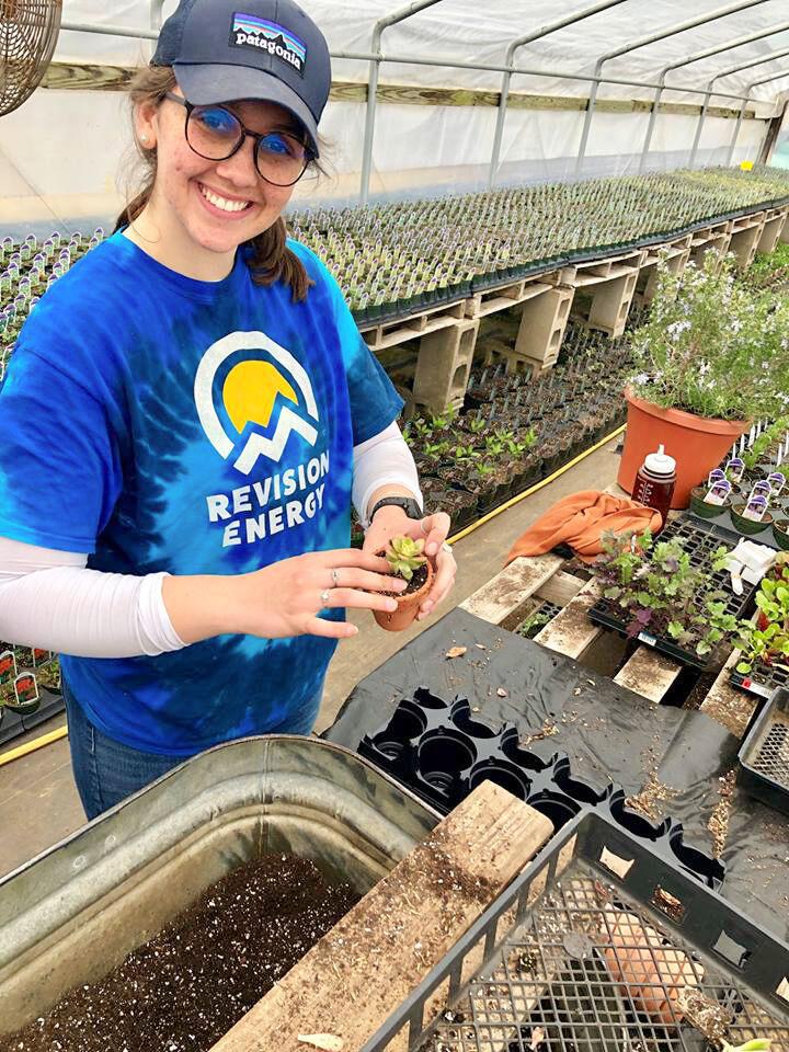 ReVision Energy Volunteer In The Herb Farmacy Greenhouse In Salisbury, MA