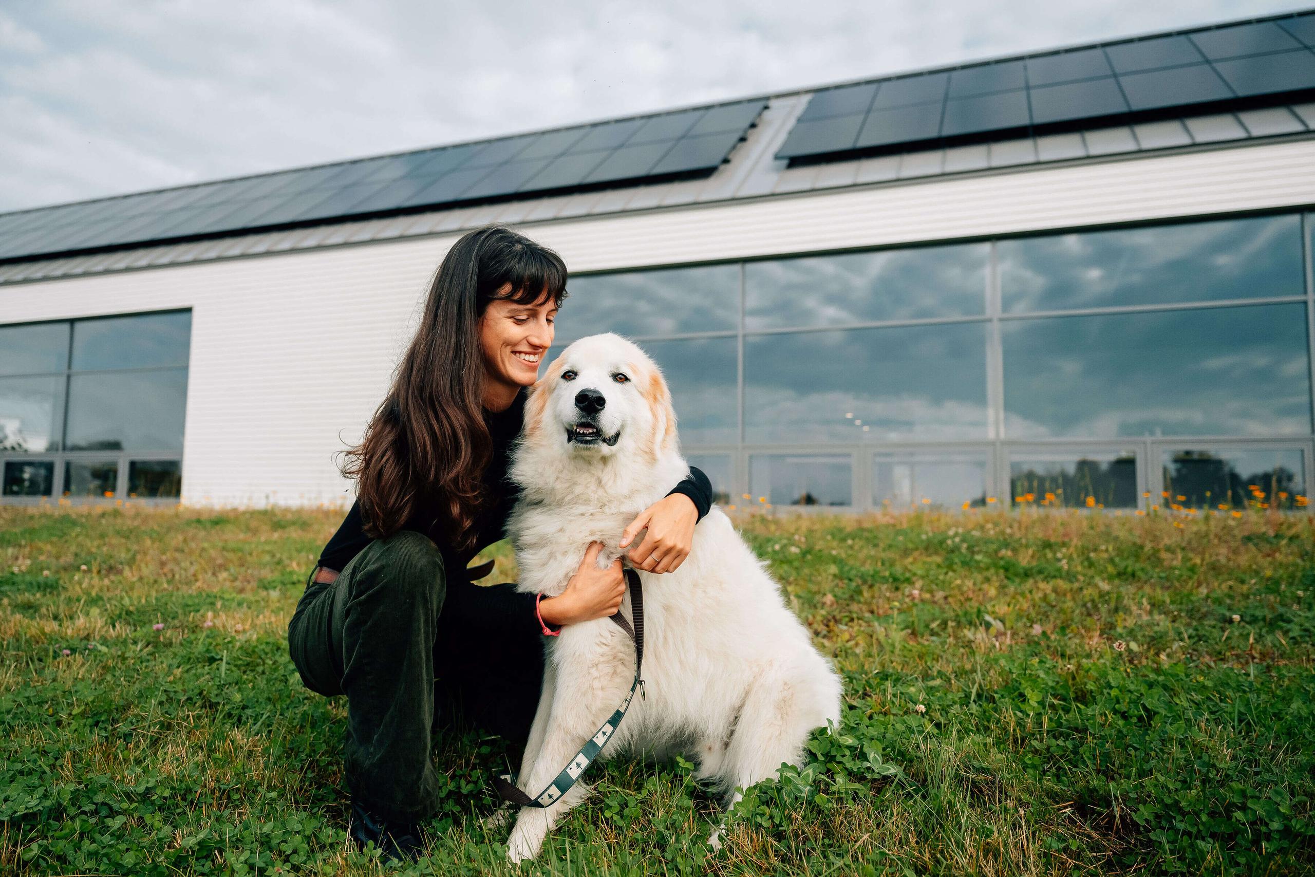 buying a home with solar.jpg